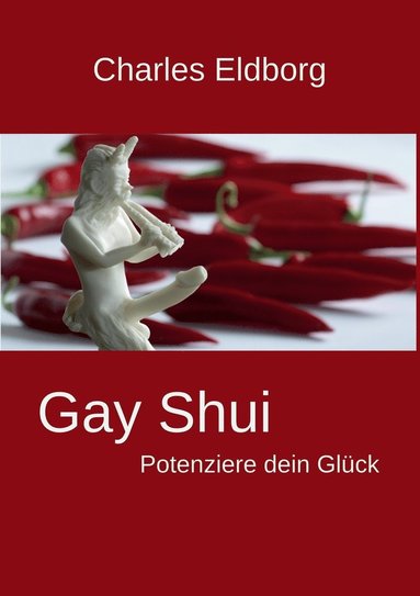 bokomslag Gay Shui - Potenziere dein Glck