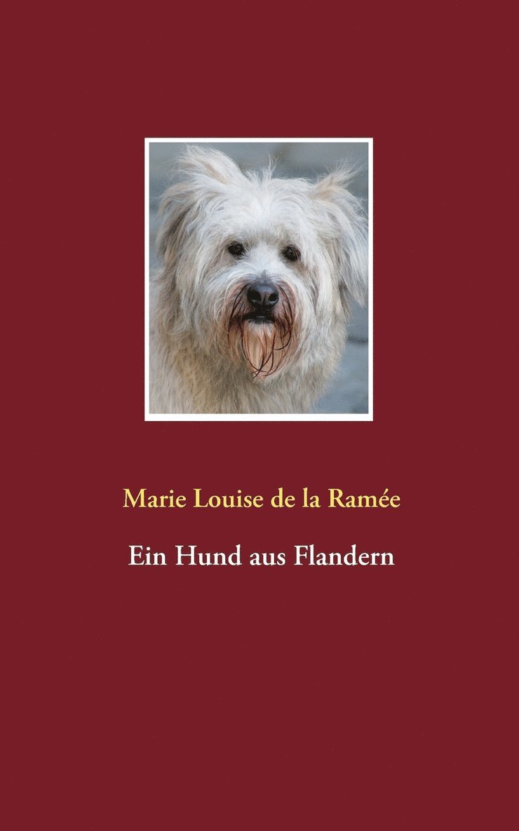 Marie Louise de la Ramée, Matthias Adler - Hund aus Flandern, Häftad