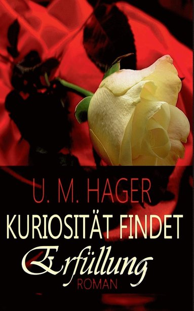 bokomslag Kuriosität findet - Erfüllung