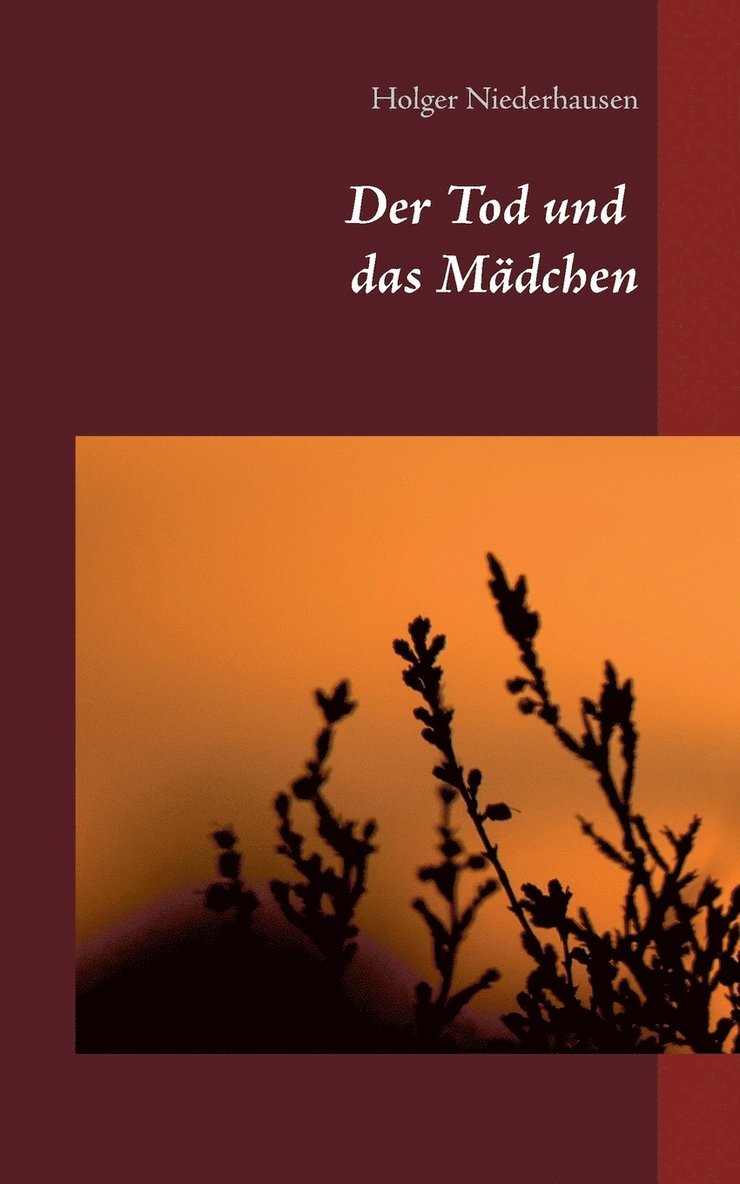Holger Niederhausen - Tod und das Mädchen, Häftad