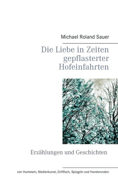 bokomslag Liebe in Zeiten gepflasterter Hofeinfahrten