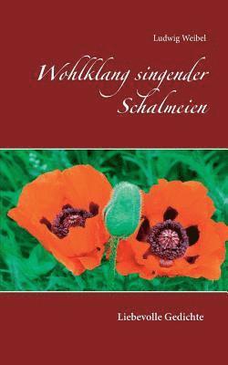 bokomslag Wohlklang singender Schalmeien