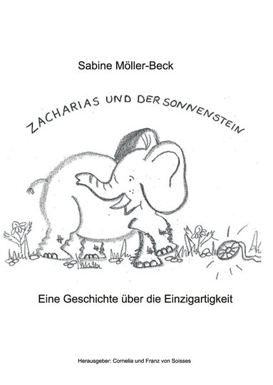 bokomslag Zacharias und der Sonnenstein