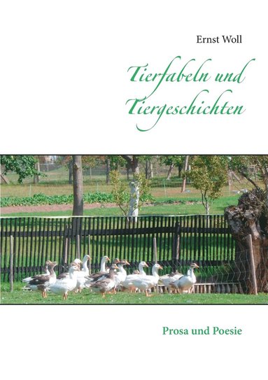 bokomslag Tierfabeln und Tiergeschichten