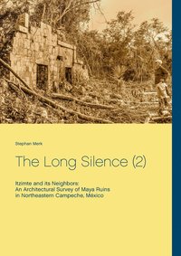 bokomslag The Long Silence (2)