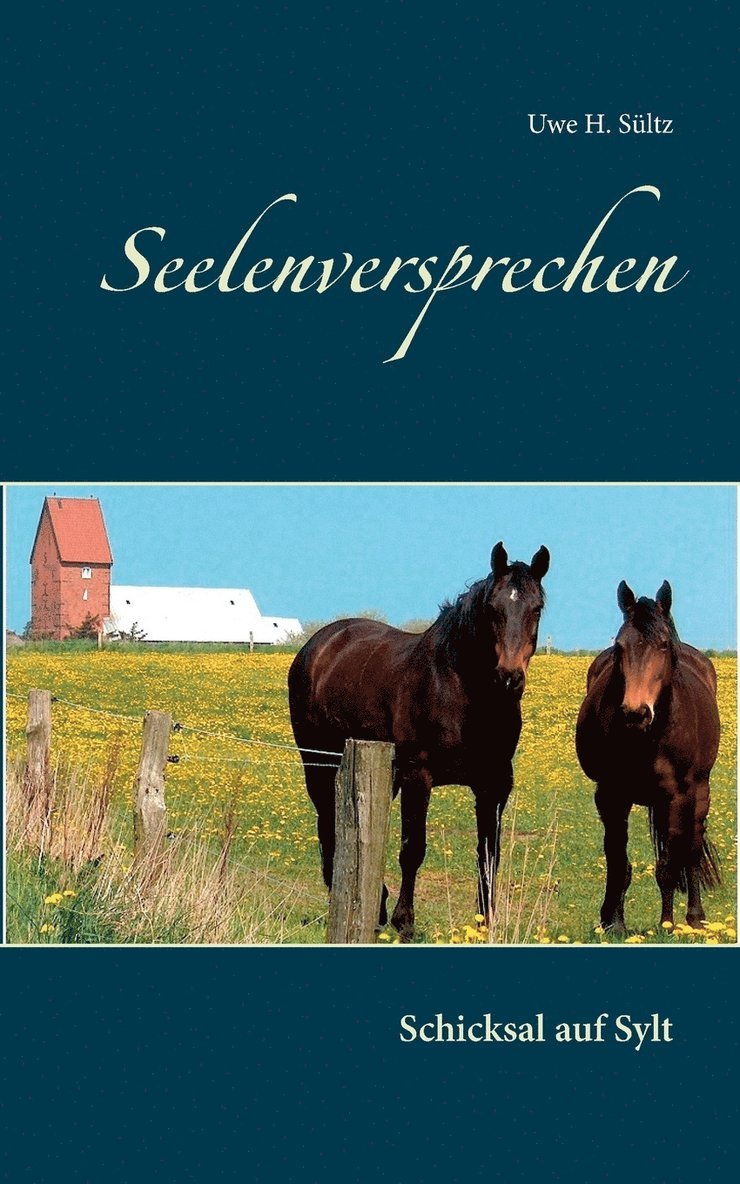 Uwe H Sültz, Uwe H. Sültz - Seelenversprechen, Häftad