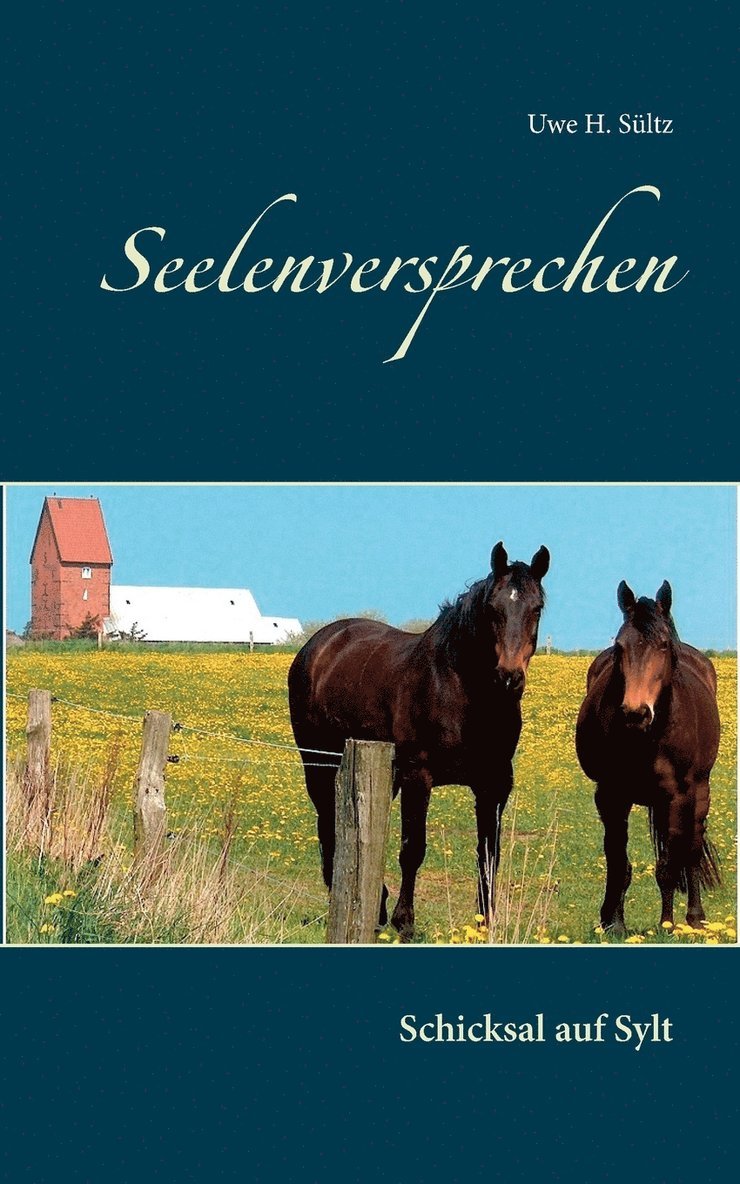 Seelenversprechen 1