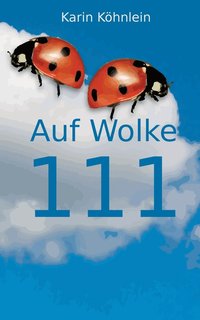 bokomslag Auf Wolke 111