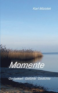 bokomslag Momente