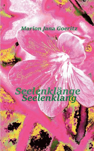 bokomslag Seelenklänge