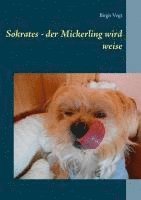 bokomslag Sokrates - der Mickerling wird weise