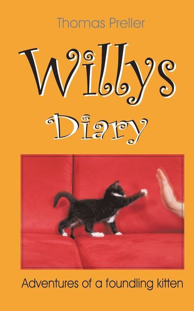 bokomslag Willys Diary