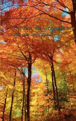 bokomslag Zeit, die vergängliche, die nie ankommt