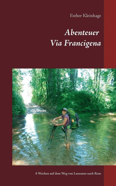 bokomslag Abenteuer Via Francigena