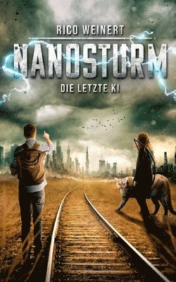 Nanosturm 1