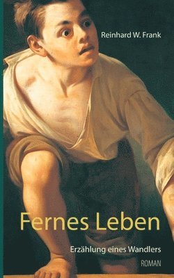 bokomslag Fernes Leben