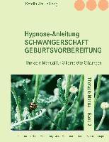 bokomslag Hypnose-Anleitung Schwangerschaft und Geburtsvorbereitung