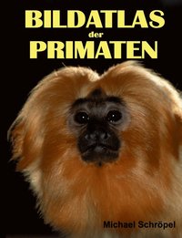 bokomslag Bildatlas der Primaten