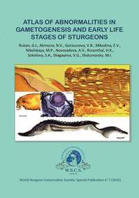 bokomslag Atlas of Abnormalities in Gametogenies and Early Life Stages of Sturgeons