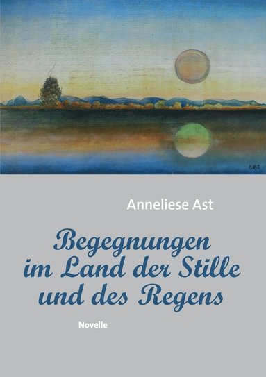 bokomslag Begegnungen im Land der Stille und des Regens