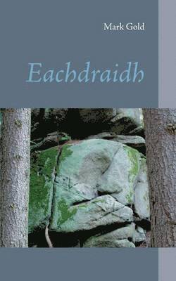 bokomslag Eachdraidh