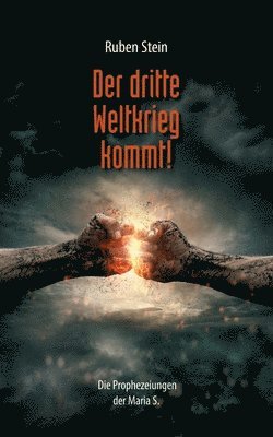 Ruben Stein - dritte Weltkrieg kommt!, Häftad