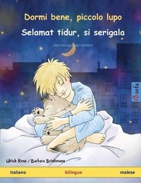 bokomslag Dormi bene, piccolo lupo - Selamat tidur, si serigala (italiano - malese)