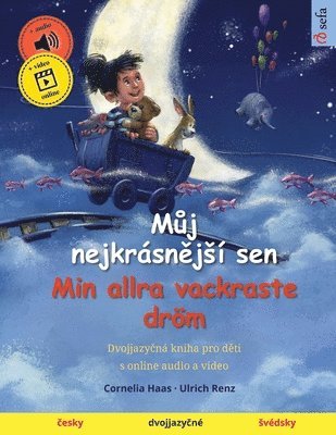 bokomslag M&#367;j nejkrsn&#283;js sen - Min allra vackraste drm (&#269;esky - svdsky)