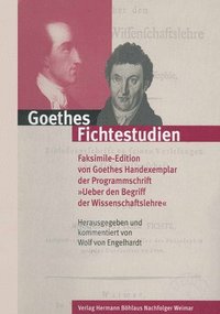 bokomslag Goethes Fichtestudien