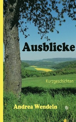 Andrea Wendeln - Ausblicke, Häftad
