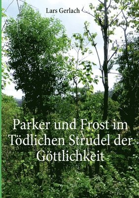 bokomslag Parker und Frost im Tdlichen Strudel der Gttlichkeit