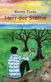 bokomslag Herr der Steine