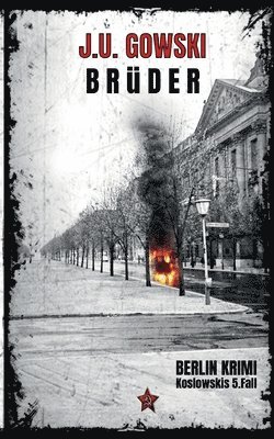 bokomslag Brüder