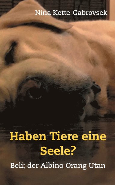 bokomslag Haben Tiere eine Seele?