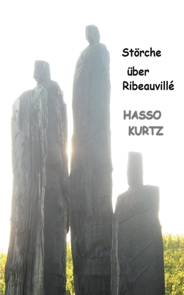 Hasso Kurtz - Störche über Ribeauvillé, Häftad
