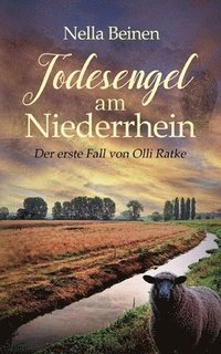 bokomslag Todesengel am Niederrhein