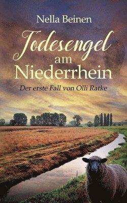 Nella Beinen - Todesengel am Niederrhein, Häftad