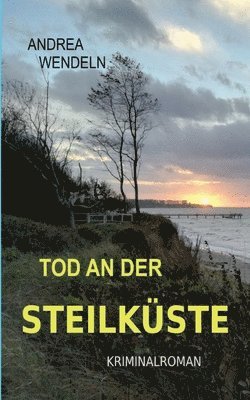 bokomslag Tod an der Steilkste