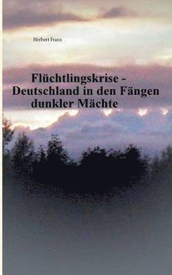 Herbert Franz - Flüchtlingskrise - Deutschland in den Fängen dunkler Mächte, Häftad