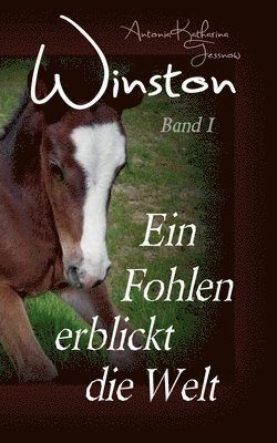 bokomslag Winston - Ein Fohlen erblickt die Welt