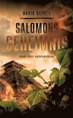 bokomslag Salomons Geheimnis