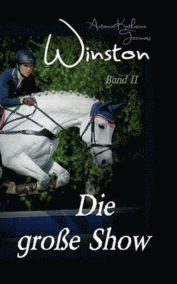 bokomslag Winston - Die große Show
