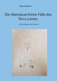 bokomslag Die Abenteuerlichen Falle des Terry Lomes