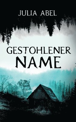 bokomslag Gestohlener Name