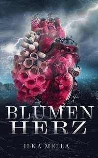 bokomslag Blumenherz