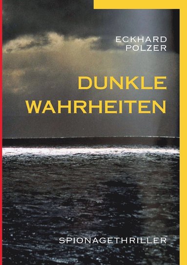 bokomslag Dunkle Wahrheiten