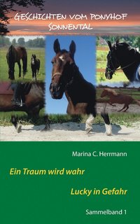 bokomslag Geschichten vom Ponyhof Sonnental