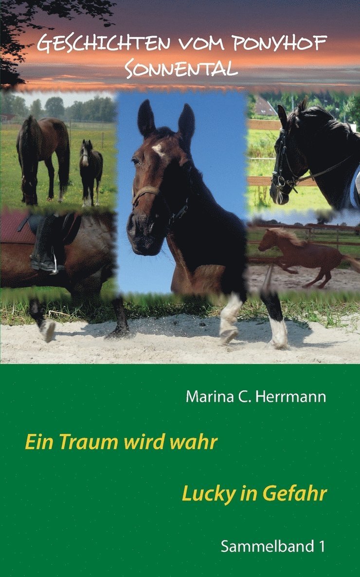 Geschichten vom Ponyhof Sonnental 1