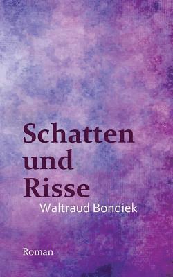 bokomslag Schatten und Risse