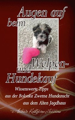 bokomslag Augen auf beim Welpen- und Hundekauf